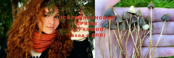 бошки Волоколамск