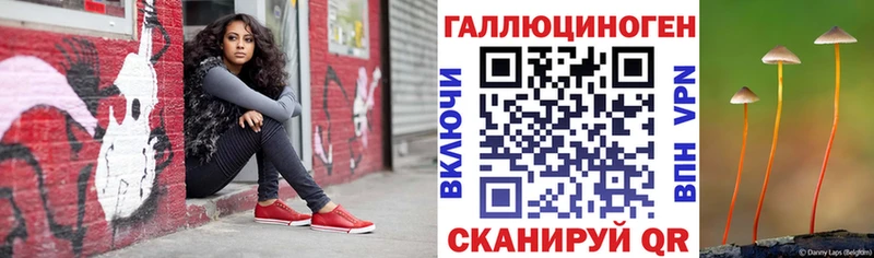 Псилоцибиновые грибы Cubensis наркотики гидра ONION Канаш